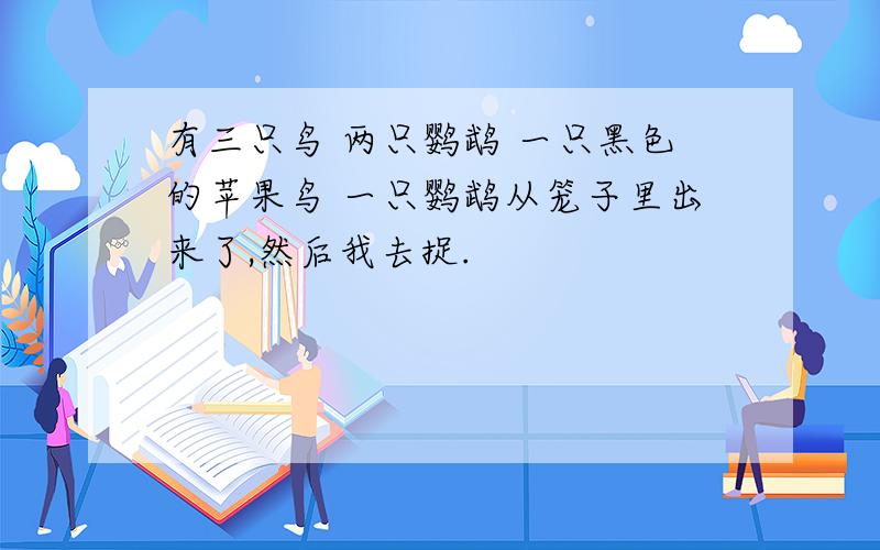 有三只鸟 两只鹦鹉 一只黑色的苹果鸟 一只鹦鹉从笼子里出来了,然后我去捉.