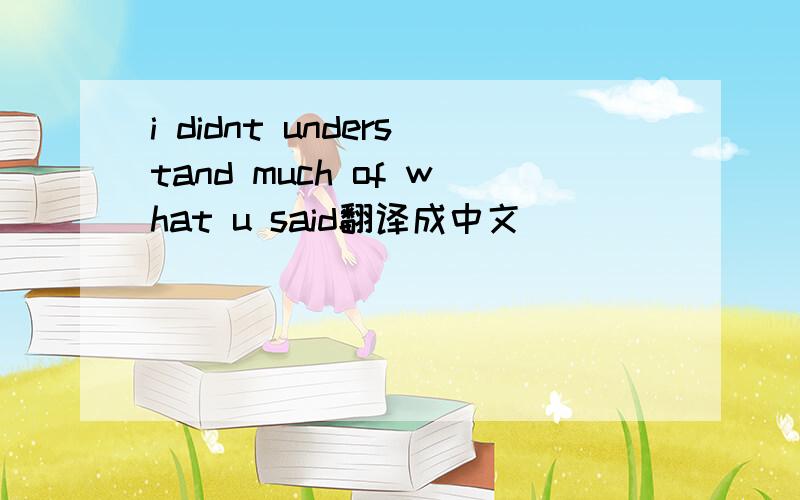 i didnt understand much of what u said翻译成中文