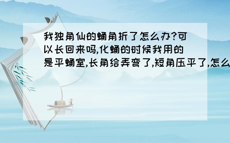 我独角仙的蛹角折了怎么办?可以长回来吗,化蛹的时候我用的是平蛹室,长角给弄弯了,短角压平了,怎么办?