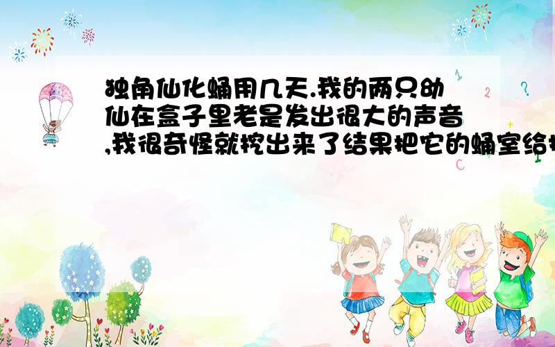 独角仙化蛹用几天.我的两只幼仙在盒子里老是发出很大的声音,我很奇怪就挖出来了结果把它的蛹室给捅破了,我就想啪啪的声音是做蛹室的声音吗.