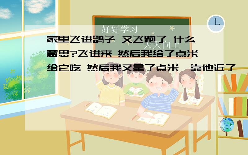 家里飞进鸽子 又飞跑了 什么意思?飞进来 然后我给了点米给它吃 然后我又拿了点米  靠他近了一点 然后就飞跑了 什么意思啊?