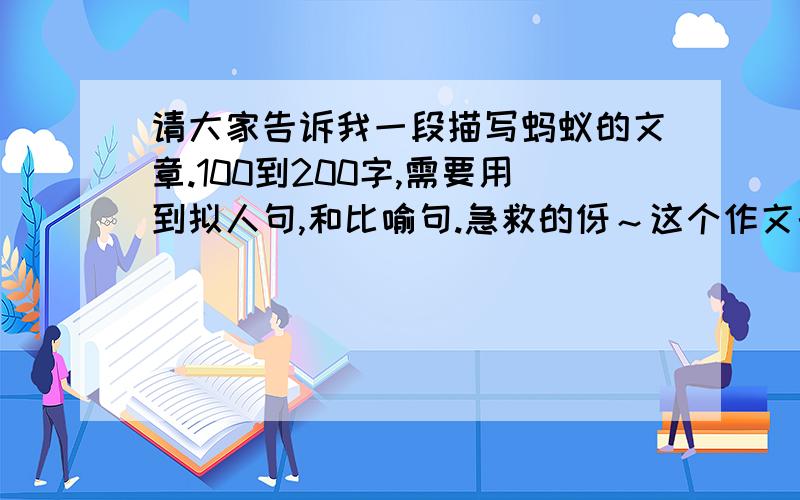 请大家告诉我一段描写蚂蚁的文章.100到200字,需要用到拟人句,和比喻句.急救的伢～这个作文的题目是：丰富的想象使课文中的小甲虫有情有义。请你写一写自己观察过的小虫，注意展开想象