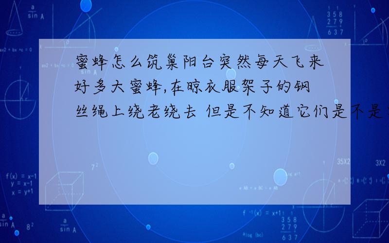 蜜蜂怎么筑巢阳台突然每天飞来好多大蜜蜂,在晾衣服架子的钢丝绳上绕老绕去 但是不知道它们是不是要筑巢?多久会筑起一个巢呢?还有怎样让它们离开呢?