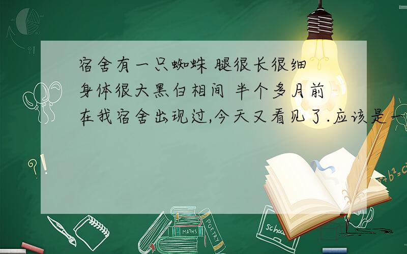 宿舍有一只蜘蛛 腿很长很细 身体很大黑白相间 半个多月前在我宿舍出现过,今天又看见了.应该是一直在我宿舍没出去.