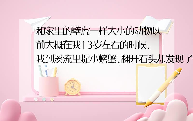 和家里的壁虎一样大小的动物以前大概在我13岁左右的时候.我到溪流里捉小螃蟹,翻开石头却发现了一条全身黑色（包括肚子）像壁虎体形一样的生物,就像十岁左右小孩尾指这么大.不知道是