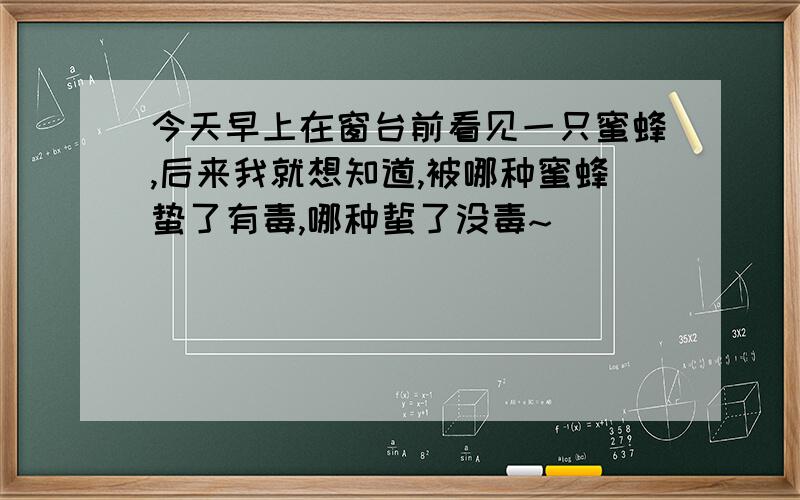 今天早上在窗台前看见一只蜜蜂,后来我就想知道,被哪种蜜蜂蛰了有毒,哪种蜇了没毒~