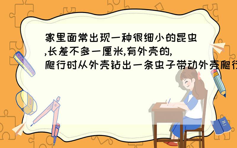 家里面常出现一种很细小的昆虫,长差不多一厘米,有外壳的,爬行时从外壳钻出一条虫子带动外壳爬行,外...家里面常出现一种很细小的昆虫,长差不多一厘米,有外壳的,爬行时从外壳钻出一条虫