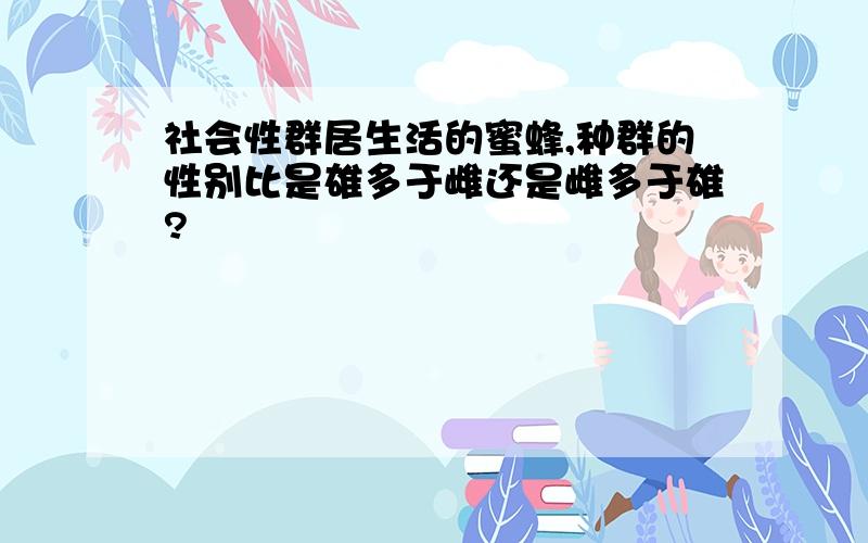 社会性群居生活的蜜蜂,种群的性别比是雄多于雌还是雌多于雄?