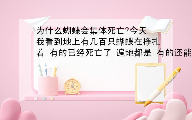 为什么蝴蝶会集体死亡?今天 我看到地上有几百只蝴蝶在挣扎着 有的已经死亡了 遍地都是 有的还能在空中挣扎着 但是飞得很低 好凄凉的样子 绝对不是农药!这是为什么?