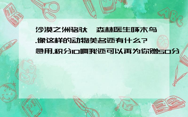 沙漠之洲骆驮,森林医生啄木鸟.像这样的动物美名还有什么?急用.积分10啊我还可以再为你赠50分,再多一点,70分啊,快来挣