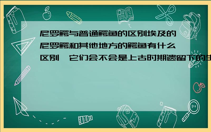 尼罗鳄与普通鳄鱼的区别埃及的尼罗鳄和其他地方的鳄鱼有什么区别,它们会不会是上古时期遗留下的生物?