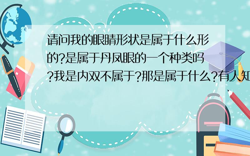 请问我的眼睛形状是属于什么形的?是属于丹凤眼的一个种类吗?我是内双不属于?那是属于什么?有人知道吗?