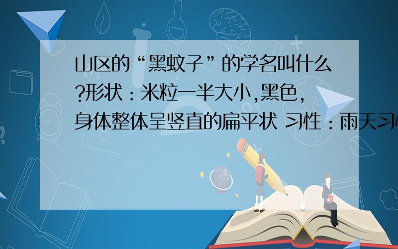 山区的“黑蚊子”的学名叫什么?形状：米粒一半大小,黑色,身体整体呈竖直的扁平状 习性：雨天习惯在室内活动,被其咬到的部分会红肿、奇痒,所咬的包呈较整齐排列,推测为咬完第一处后爬