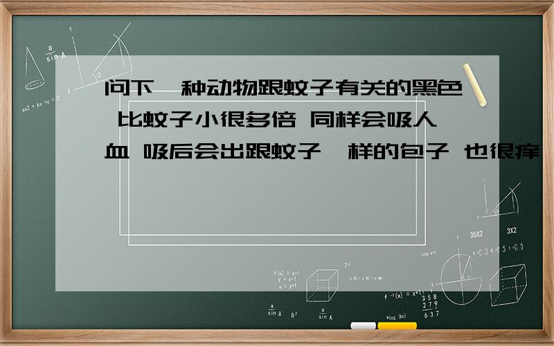 问下一种动物跟蚊子有关的黑色 比蚊子小很多倍 同样会吸人血 吸后会出跟蚊子一样的包子 也很痒 包子处可见一红色点点 是被咬过的地方 这动物叫什么名字 .不是虱子也不是跳蚤 跟蚊子一