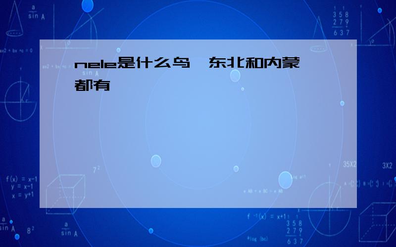 nele是什么鸟,东北和内蒙都有