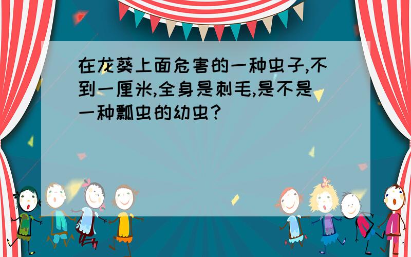 在龙葵上面危害的一种虫子,不到一厘米,全身是刺毛,是不是一种瓢虫的幼虫?