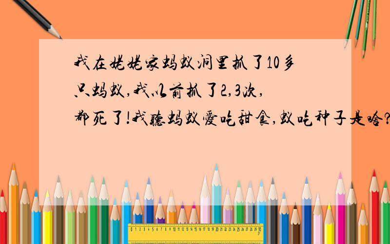 我在姥姥家蚂蚁洞里抓了10多只蚂蚁,我以前抓了2,3次,都死了!我听蚂蚁爱吃甜食,蚁吃种子是啥?