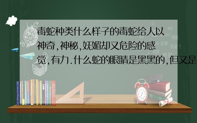 毒蛇种类什么样子的毒蛇给人以神奇,神秘,妩媚却又危险的感觉,有力.什么蛇的眼睛是黑黑的,但又是剧毒蛇呢?如果是图腾的话更好了.