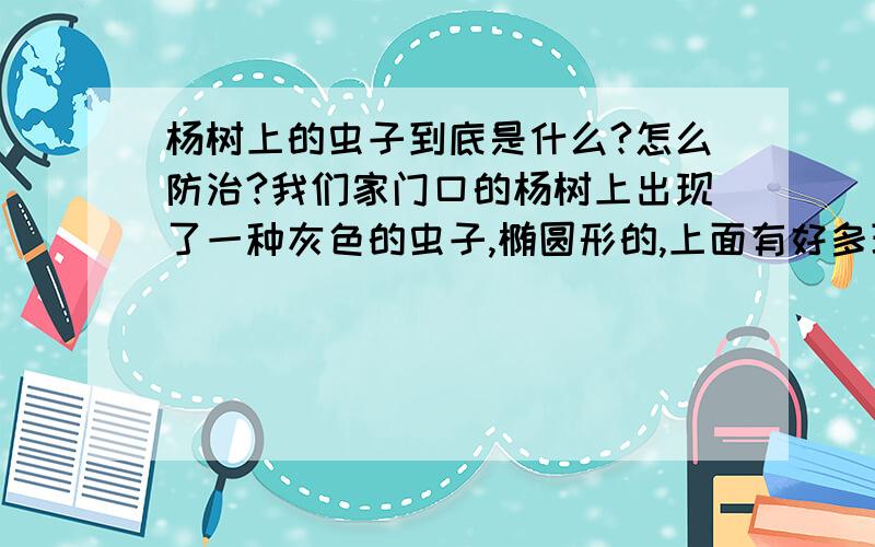 杨树上的虫子到底是什么?怎么防治?我们家门口的杨树上出现了一种灰色的虫子,椭圆形的,上面有好多斑纹,有6条腿,繁殖能力超级强~一大片一大片的!好恶心!我不要当下来的答案，要光是这样