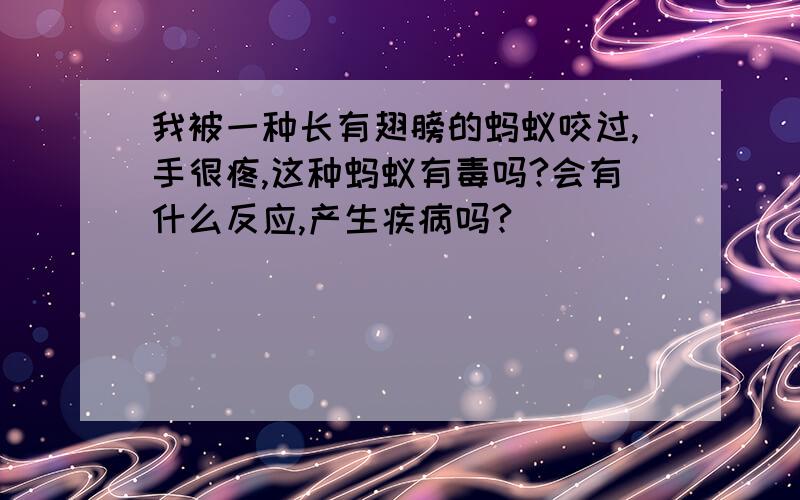 我被一种长有翅膀的蚂蚁咬过,手很疼,这种蚂蚁有毒吗?会有什么反应,产生疾病吗?