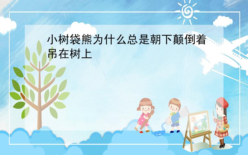 小树袋熊为什么总是朝下颠倒着吊在树上