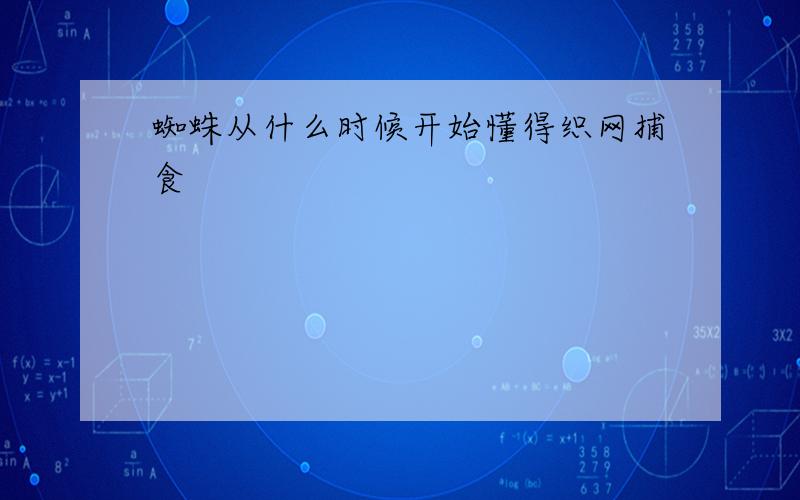 蜘蛛从什么时候开始懂得织网捕食