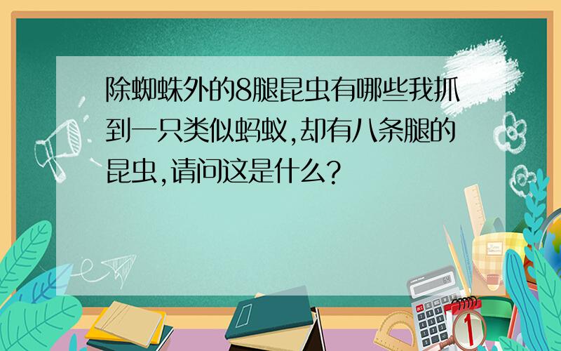 除蜘蛛外的8腿昆虫有哪些我抓到一只类似蚂蚁,却有八条腿的昆虫,请问这是什么?