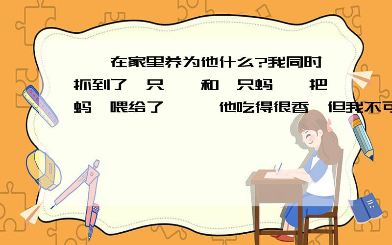 螳螂在家里养为他什么?我同时抓到了一只螳螂和一只蚂蚱,把蚂蚱喂给了螳螂,他吃得很香,但我不可能总能抓到蚂蚱,他都2天没东西吃了,请问怎么才能让他活下来?要喂他吃什么?（我能每天弄