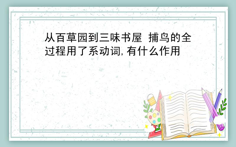 从百草园到三味书屋 捕鸟的全过程用了系动词,有什么作用