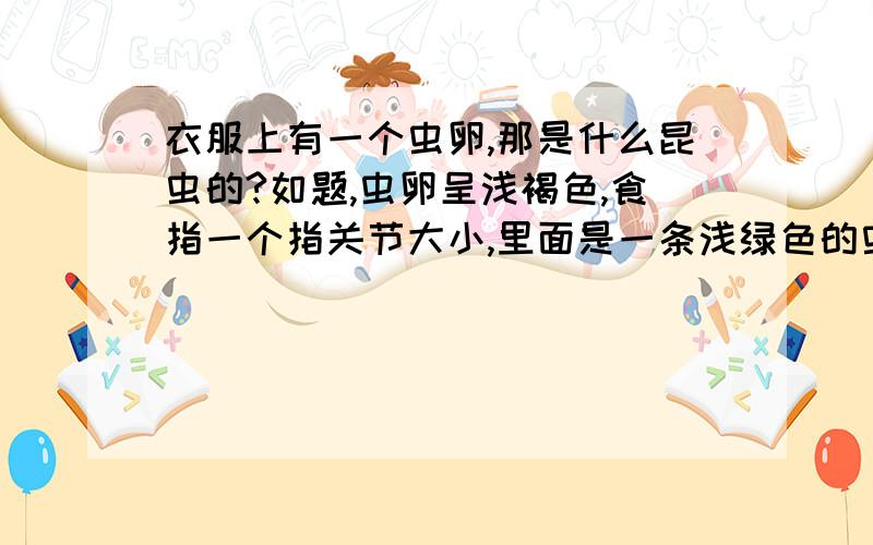 衣服上有一个虫卵,那是什么昆虫的?如题,虫卵呈浅褐色,食指一个指关节大小,里面是一条浅绿色的虫子,已死!请问什么什么昆虫的?对人有没有害?