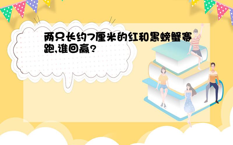 两只长约7厘米的红和黑螃蟹赛跑,谁回赢?