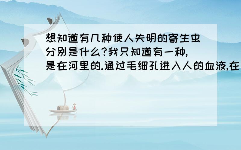 想知道有几种使人失明的寄生虫分别是什么?我只知道有一种,是在河里的.通过毛细孔进入人的血液,在人的眼睛里面安家,排泄物可以导致宿主过敏.是著名河盲病的导致者.