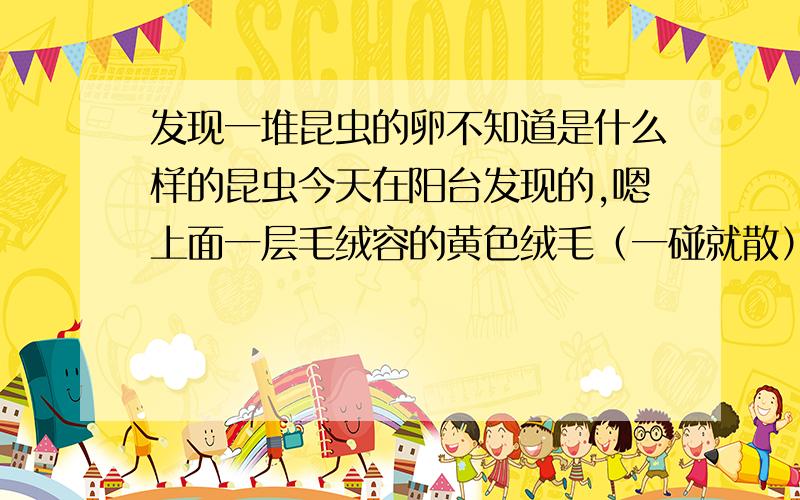 发现一堆昆虫的卵不知道是什么样的昆虫今天在阳台发现的,嗯上面一层毛绒容的黄色绒毛（一碰就散）.下面是一个堆橘红色的小颗粒,而且是沾粘在地板上,请问是哪种昆虫的卵,