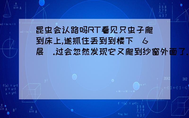 昆虫会认路吗RT看见只虫子爬到床上,遂抓住丢到到楼下（6层）.过会忽然发现它又爬到纱窗外面了.死活不走还.