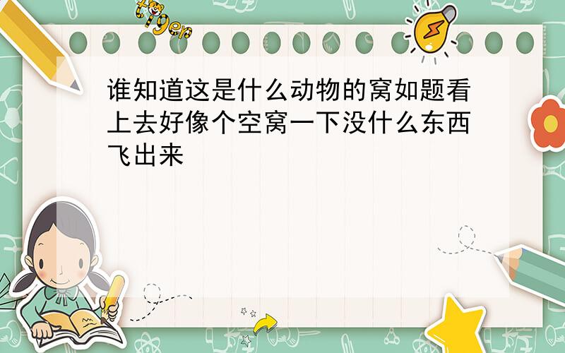 谁知道这是什么动物的窝如题看上去好像个空窝一下没什么东西飞出来