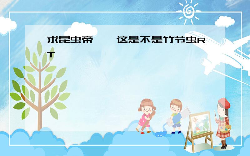 求昆虫帝……这是不是竹节虫RT……