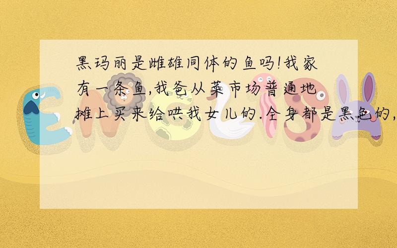 黑玛丽是雌雄同体的鱼吗!我家有一条鱼,我爸从菜市场普通地摊上买来给哄我女儿的.全身都是黑色的,还算漂亮.摊主说这鱼叫黑玛丽,摊主说这鱼好样容易活.买时卖鱼的说快下鱼了,形态也的