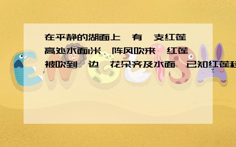 在平静的湖面上,有一支红莲,高处水面1米,阵风吹来,红莲被吹到一边,花朵齐及水面,已知红莲移动的水面距离为2米,则这里水深（ ）米