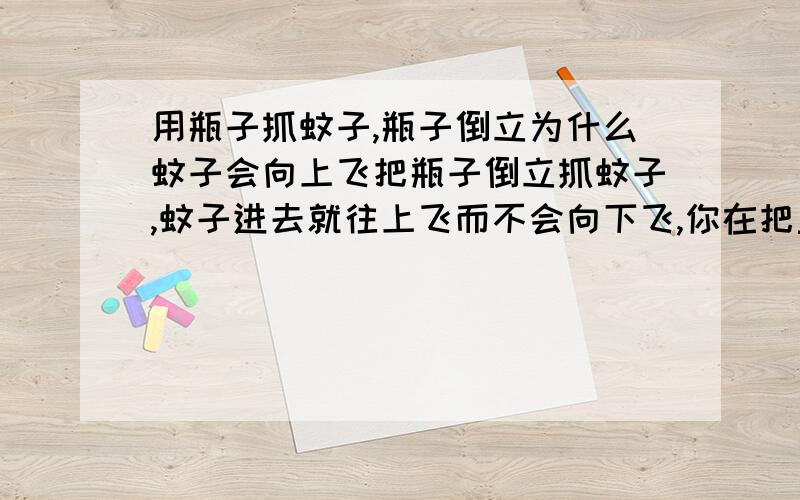 用瓶子抓蚊子,瓶子倒立为什么蚊子会向上飞把瓶子倒立抓蚊子,蚊子进去就往上飞而不会向下飞,你在把盖子盖住把瓶子正常放好蚊子就又会从瓶底会上来.这是怎么一回事.是那种小小黑黑的