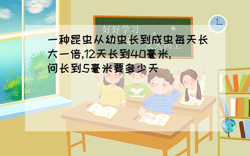 一种昆虫从幼虫长到成虫每天长大一倍,12天长到40毫米,问长到5毫米要多少天