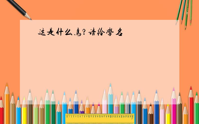 这是什么鸟?请给学名