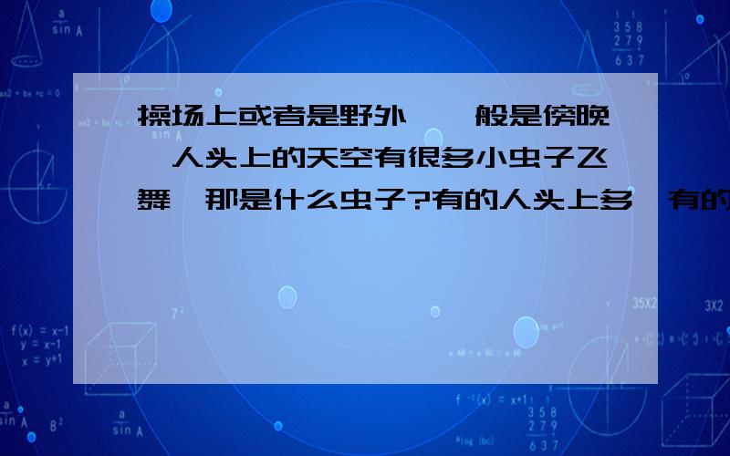 操场上或者是野外,一般是傍晚,人头上的天空有很多小虫子飞舞,那是什么虫子?有的人头上多,有的人头上少,不分男女都有应该不是蚊子，蚊子要大一点。黑色的，比较小