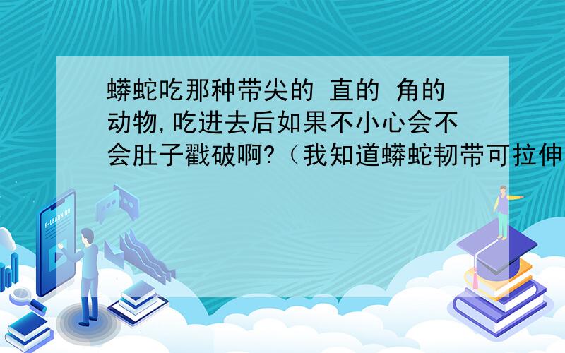 蟒蛇吃那种带尖的 直的 角的动物,吃进去后如果不小心会不会肚子戳破啊?（我知道蟒蛇韧带可拉伸,请针对上述问题做解答,）我知道鳄鱼呢事儿，注意括号啊