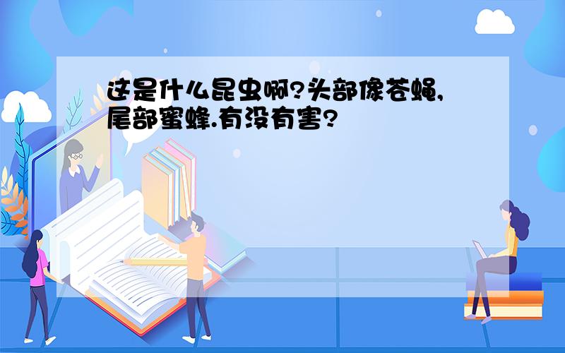 这是什么昆虫啊?头部像苍蝇,尾部蜜蜂.有没有害?