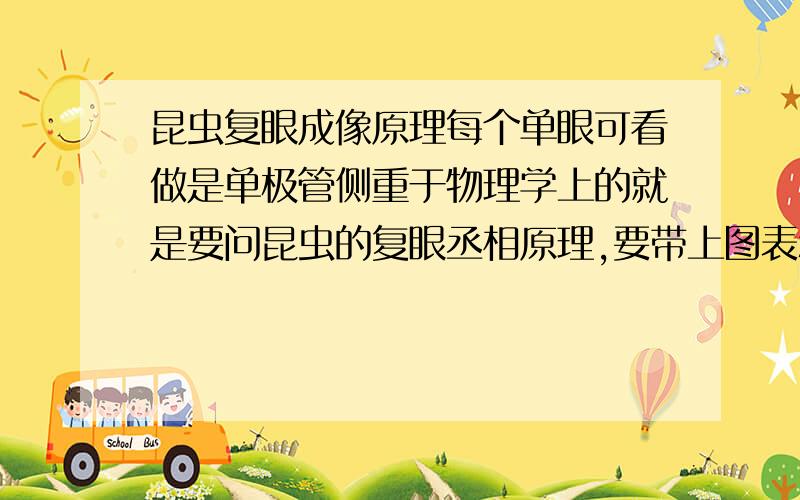 昆虫复眼成像原理每个单眼可看做是单极管侧重于物理学上的就是要问昆虫的复眼丞相原理,要带上图表和物理上的解释,最好就是有那些什么光路图我会一直提高它的悬赏分的