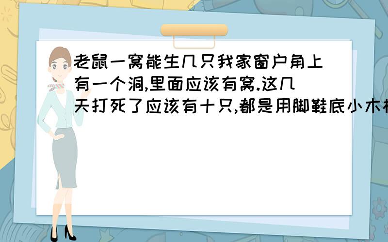 老鼠一窝能生几只我家窗户角上有一个洞,里面应该有窝.这几天打死了应该有十只,都是用脚鞋底小木棍铁丝打死的.有一只大的十二三公分,不算尾巴.四五只七八公分,还有五只是三五公分.我