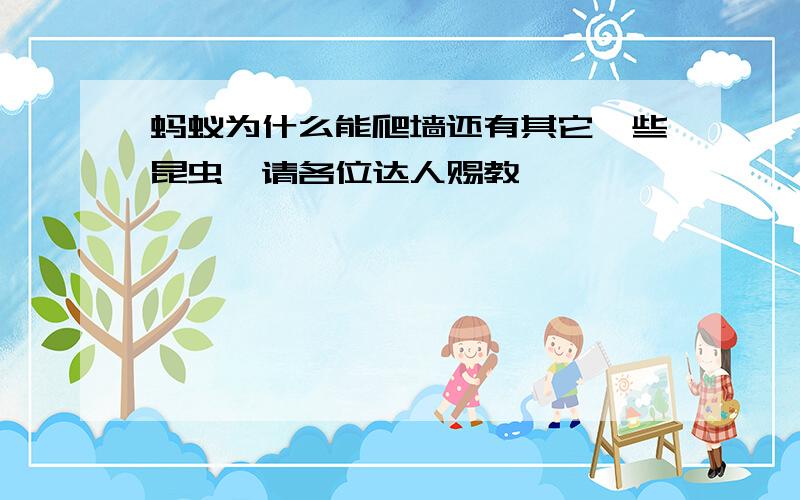 蚂蚁为什么能爬墙还有其它一些昆虫,请各位达人赐教