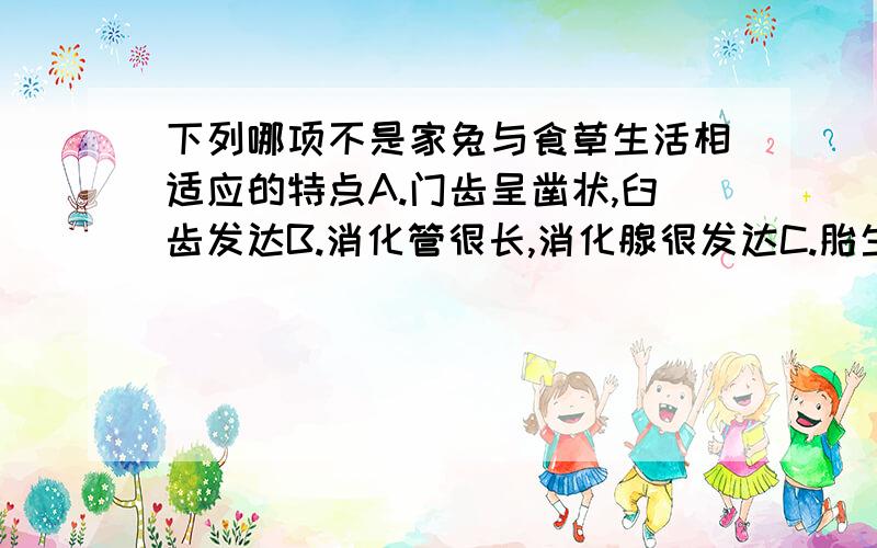 下列哪项不是家兔与食草生活相适应的特点A.门齿呈凿状,臼齿发达B.消化管很长,消化腺很发达C.胎生,哺乳D.盲肠粗大,有消化纤维的作用