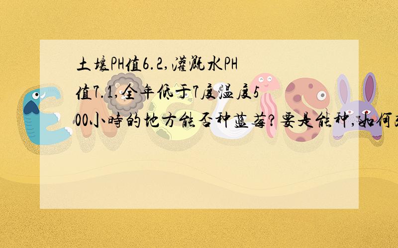 土壤PH值6.2,灌溉水PH值7.1,全年低于7度温度500小时的地方能否种蓝莓?要是能种,如何改良才能增加产量和品质?