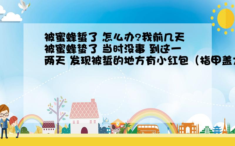 被蜜蜂蜇了 怎么办?我前几天被蜜蜂蛰了 当时没事 到这一两天 发现被蜇的地方有小红包（指甲盖大小） 有一点点的疼和痒 不碰它的话 没有什么感觉的 这种情况严重吗?现在该怎么办?还是